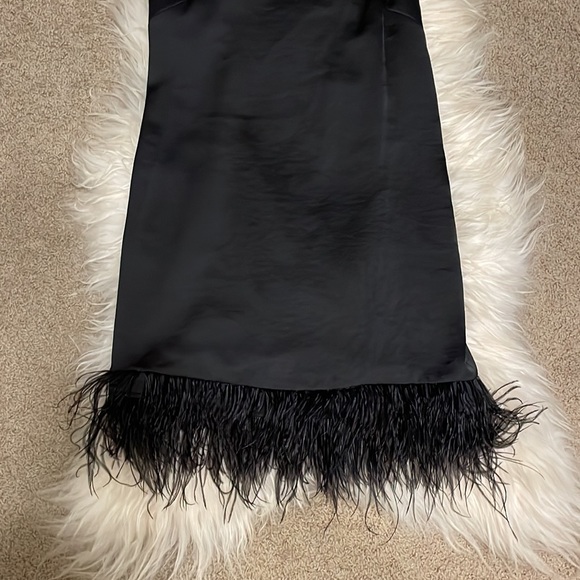 Secret Mission Black Bailey Dress with ostrich fur lining NWT - Picture 3 of 10